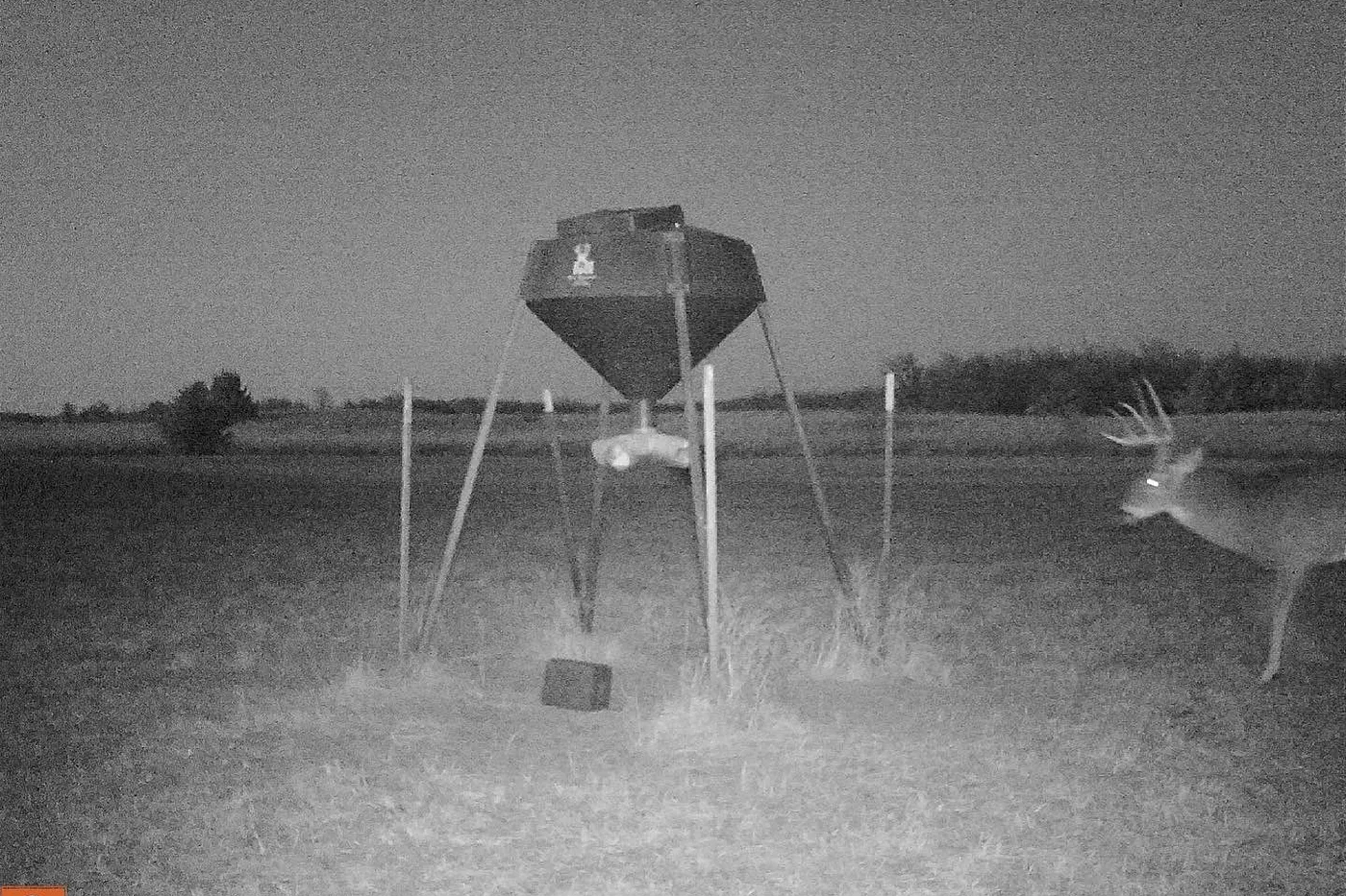 image two