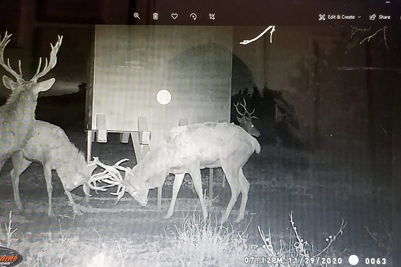 image four