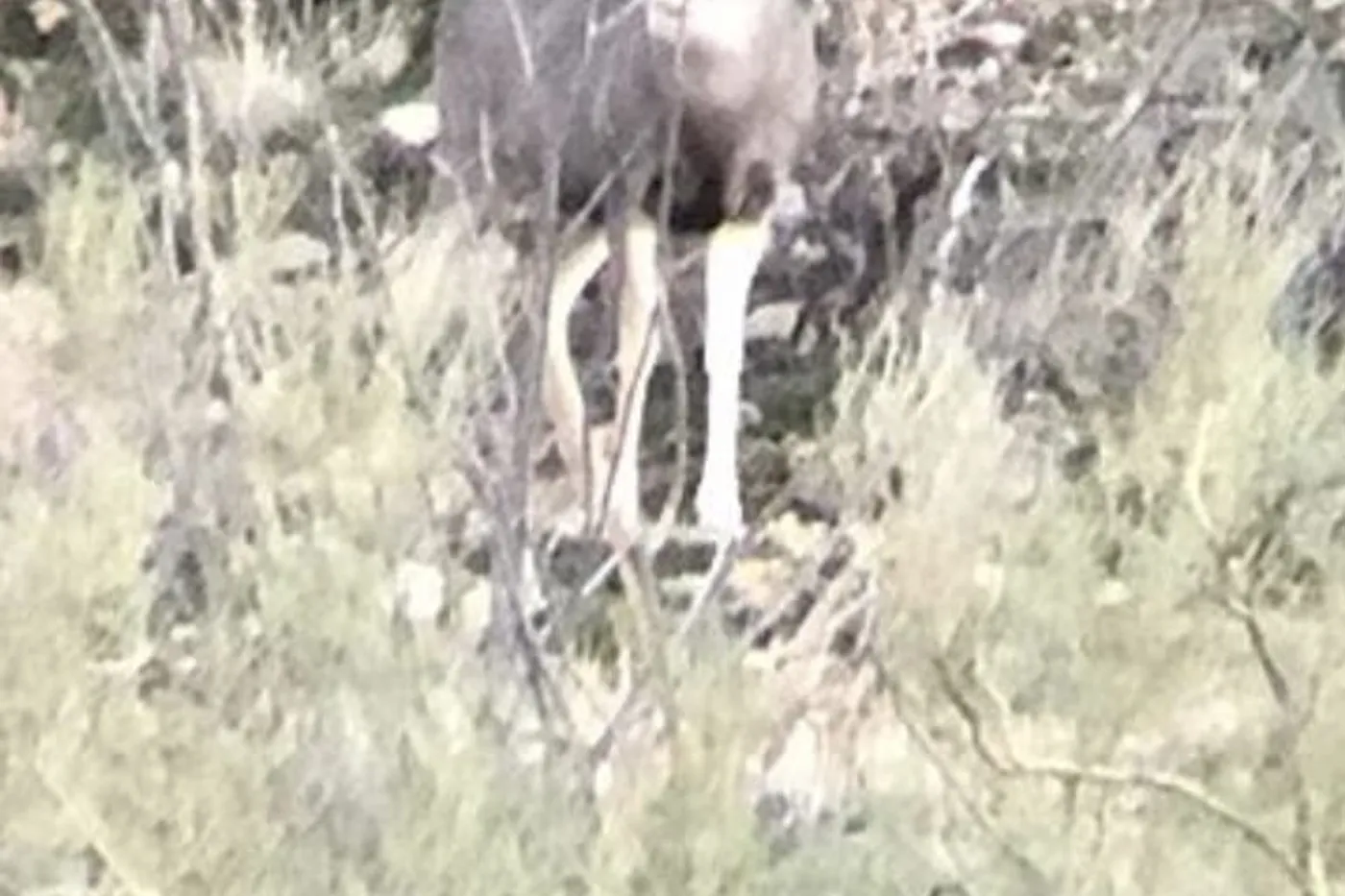 image two