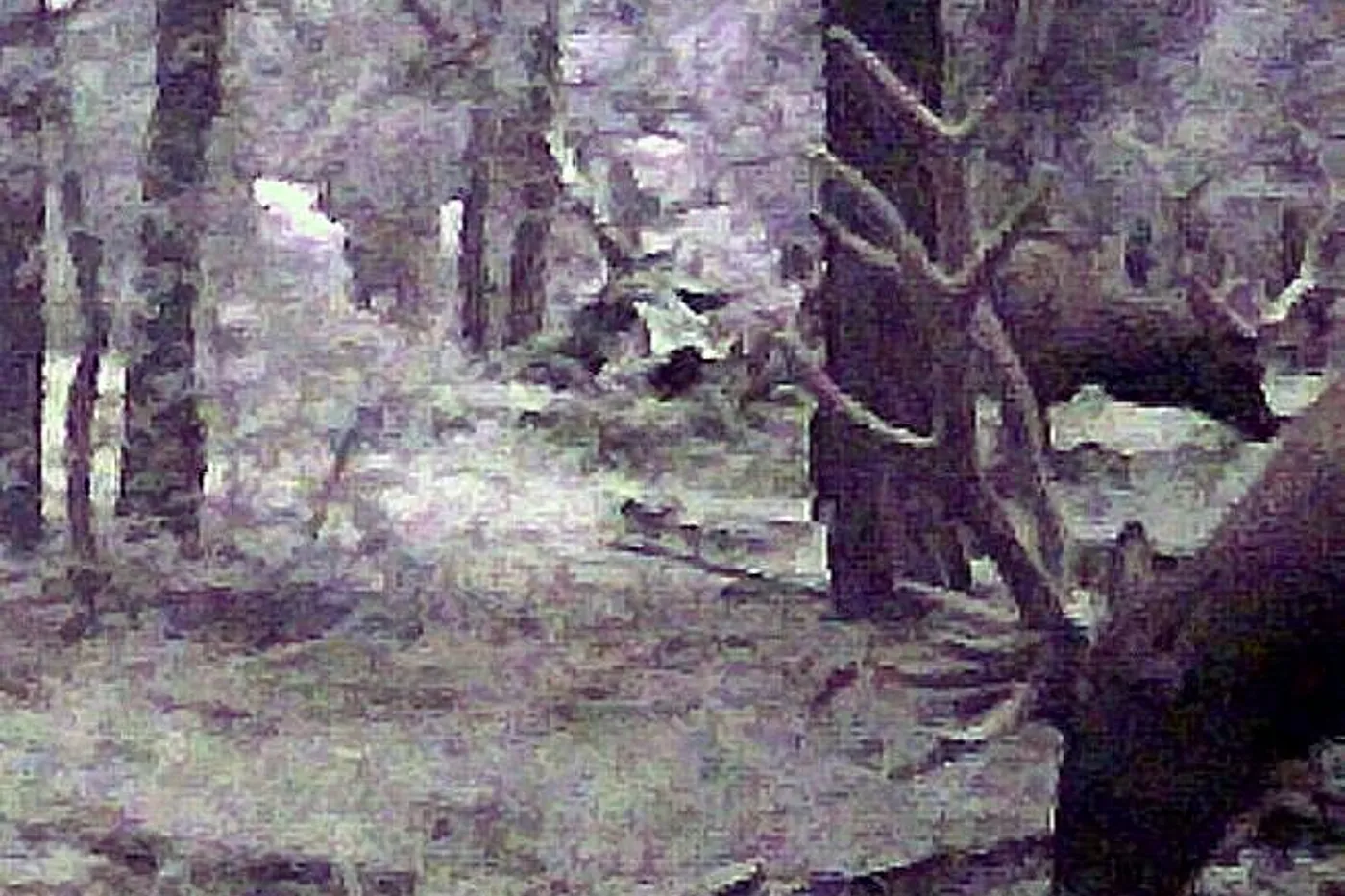 image two