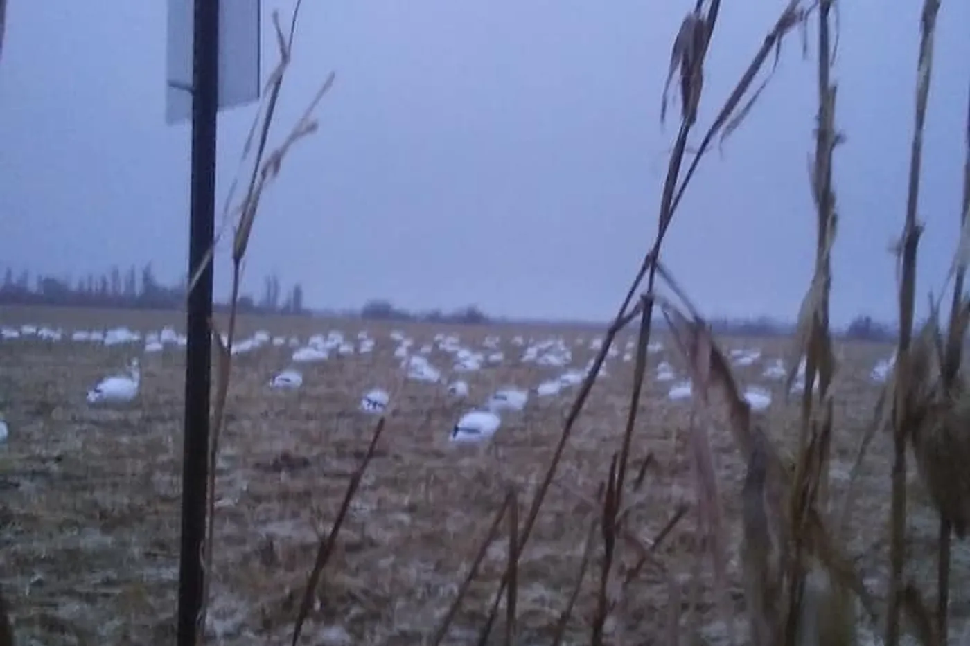 image two