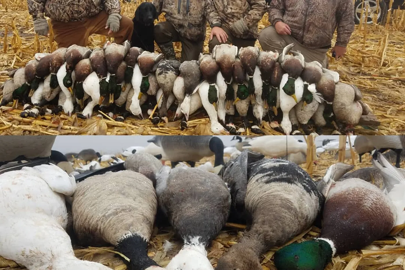 image one