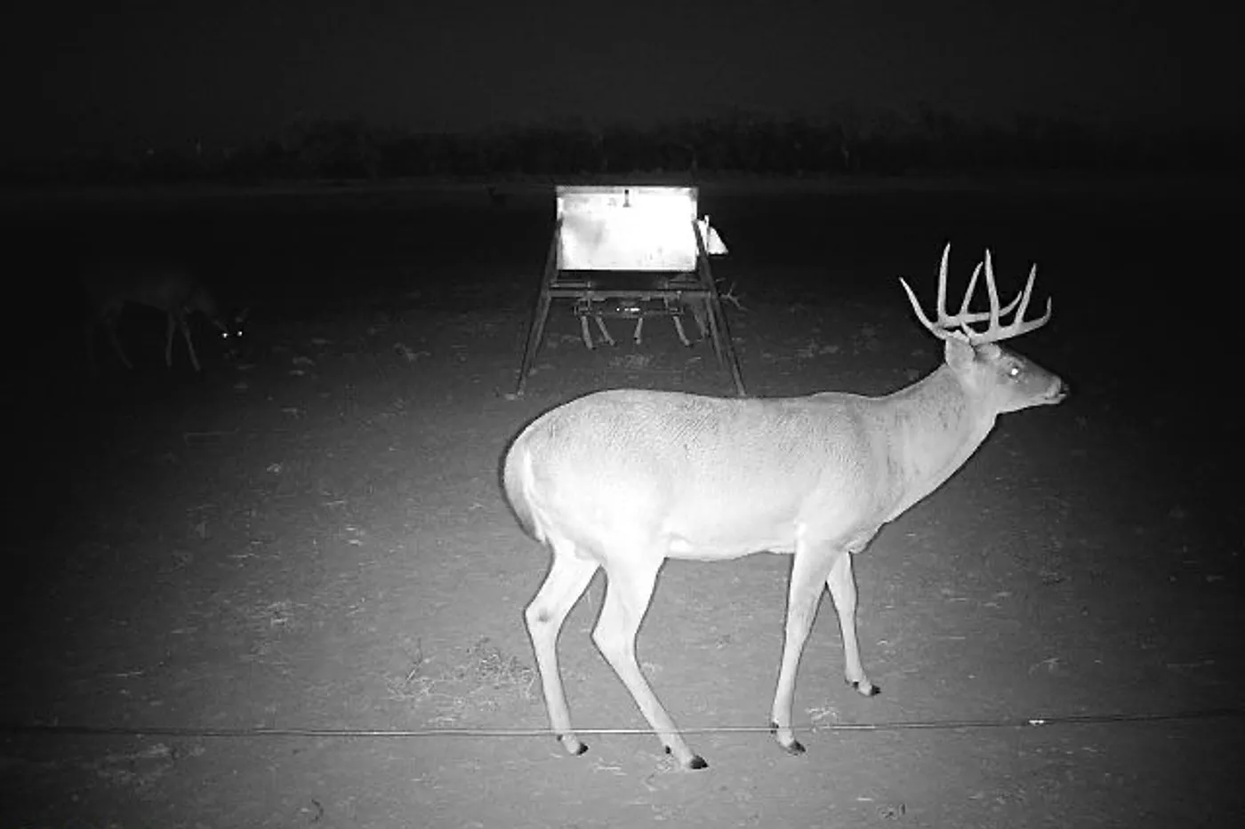 image three