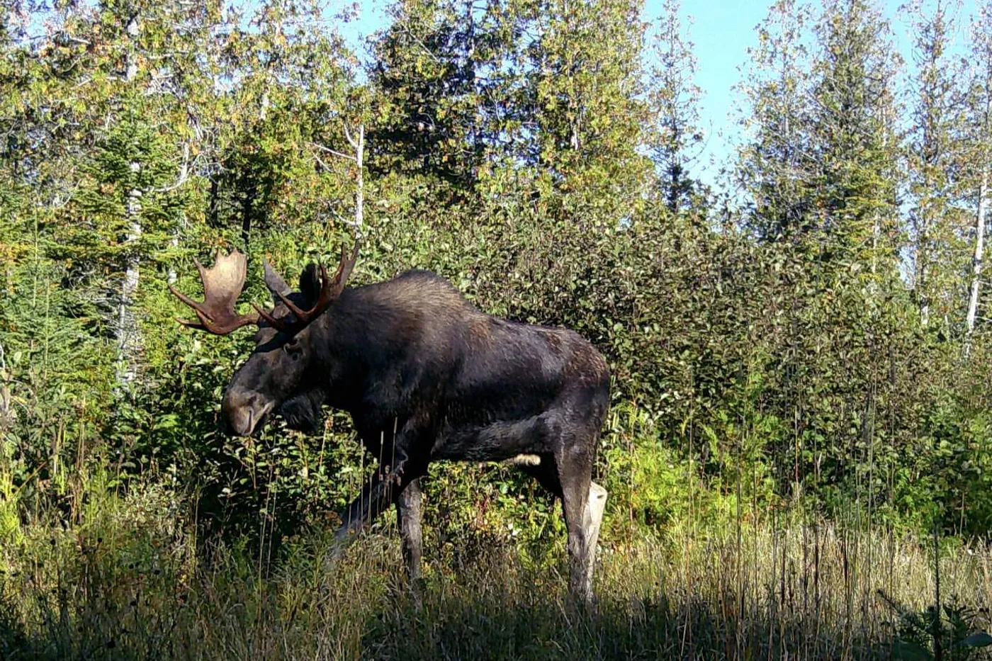 image four