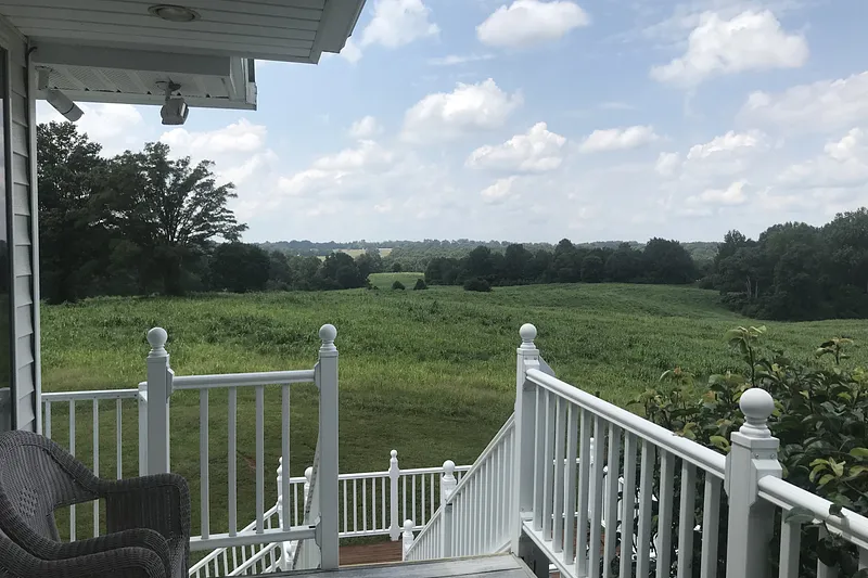 image 16
