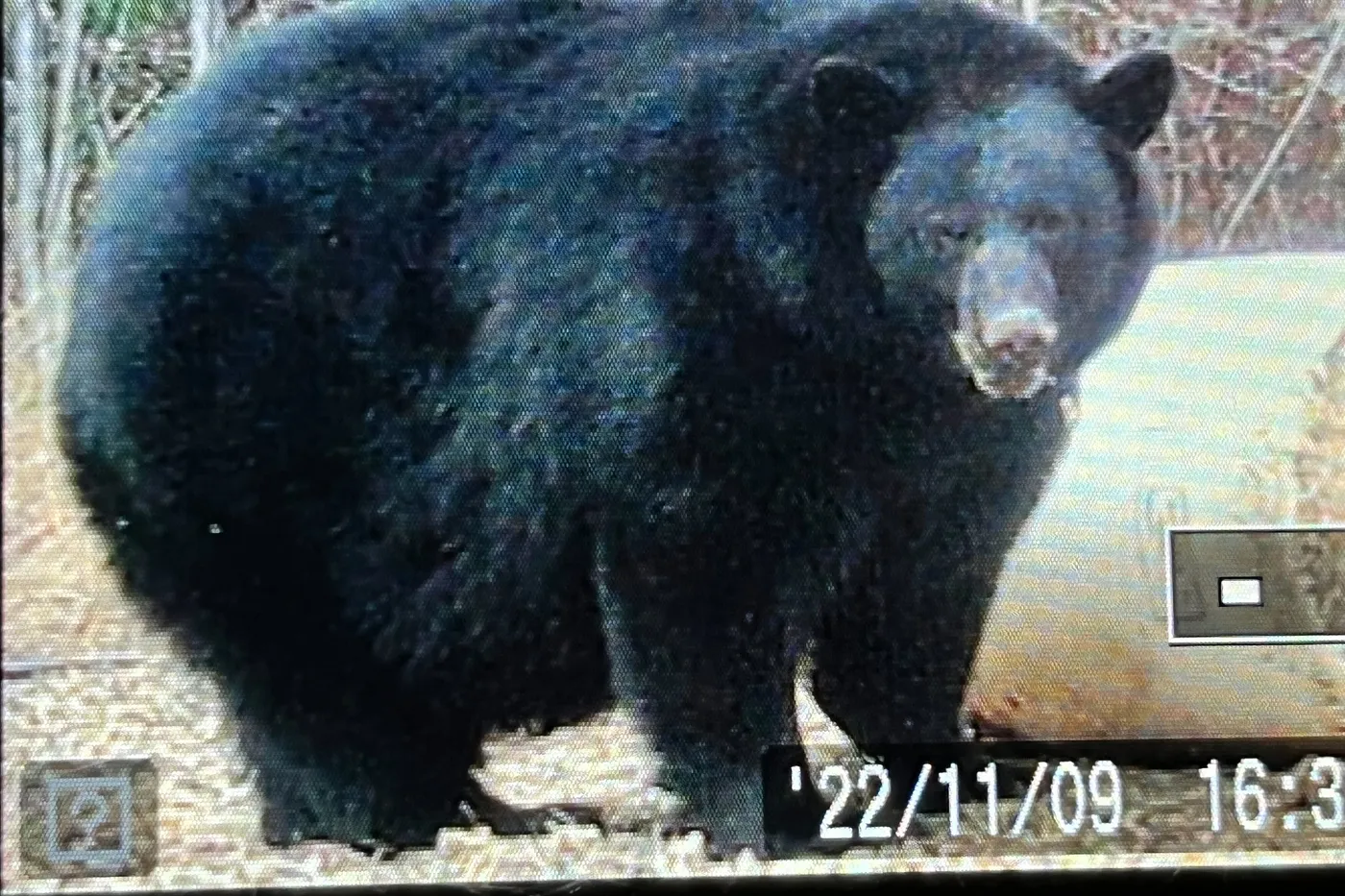 image one