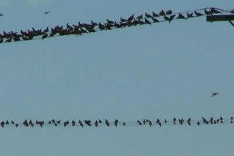 image 28
