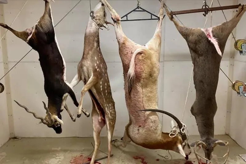 image 22