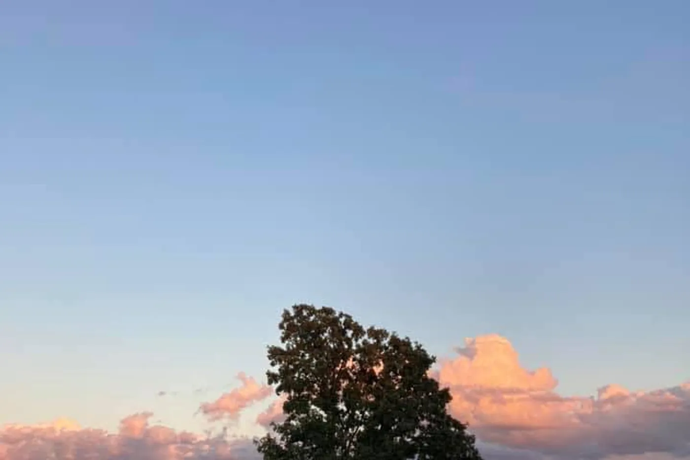 image four