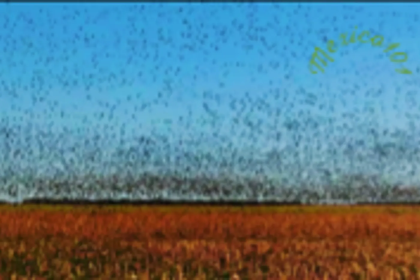 image one