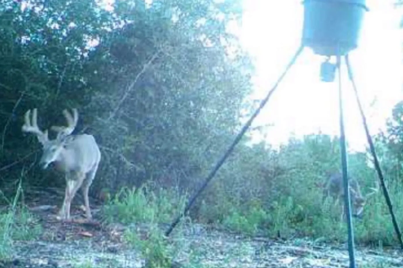 image two