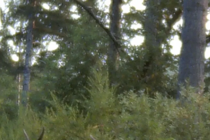 image 34