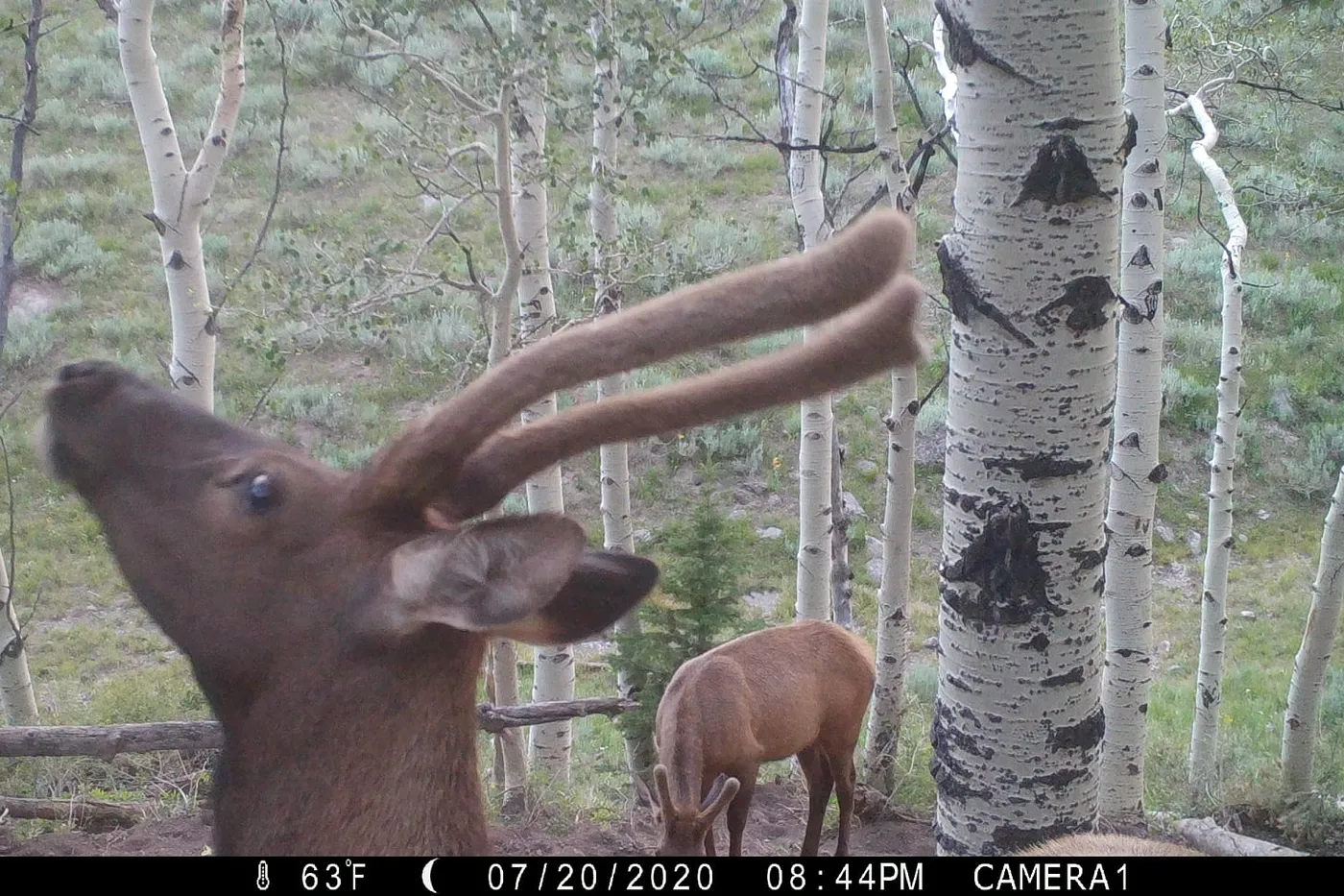 image two