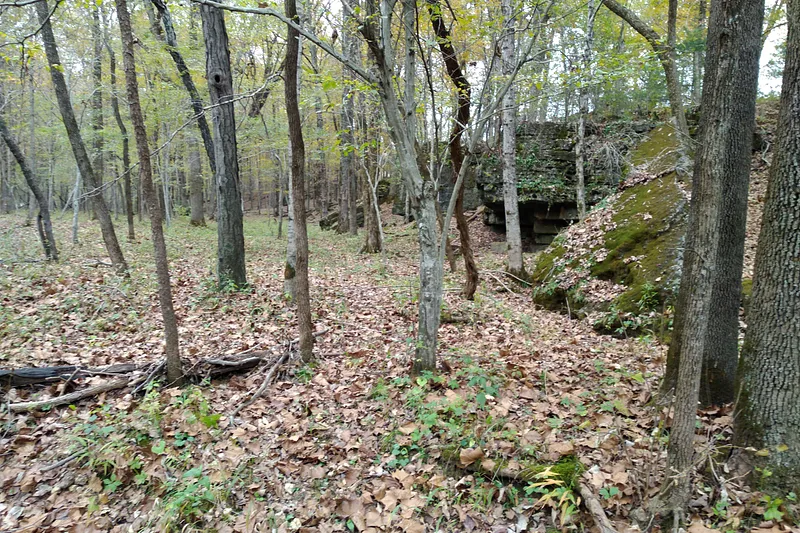 image 9
