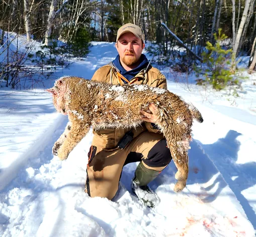 Bobcat Hound Hunt - photo