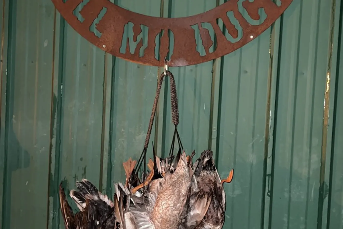 image four