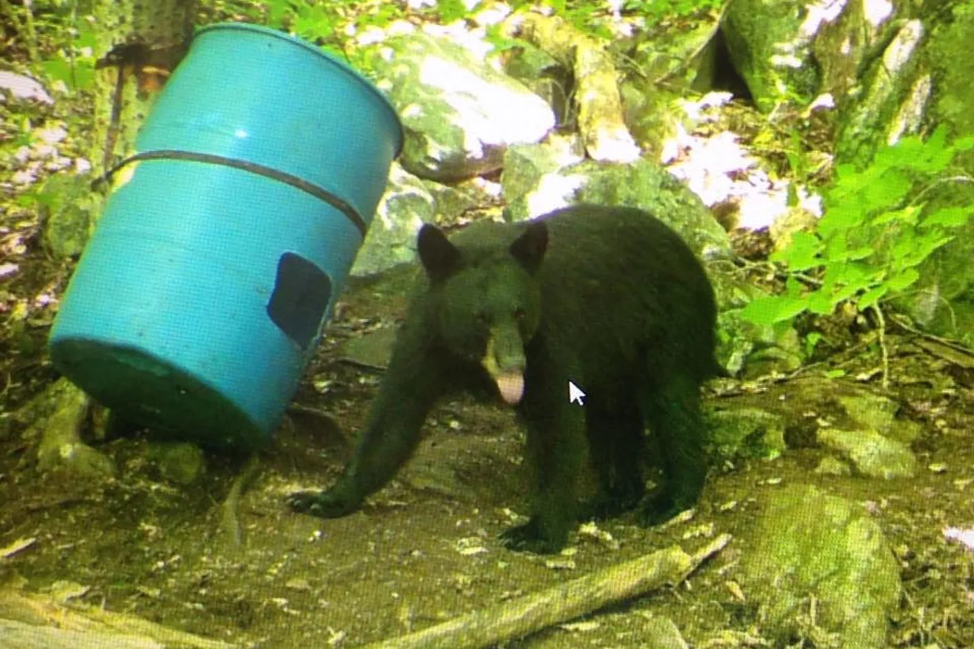 image two