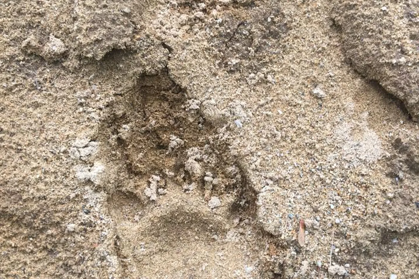 image four