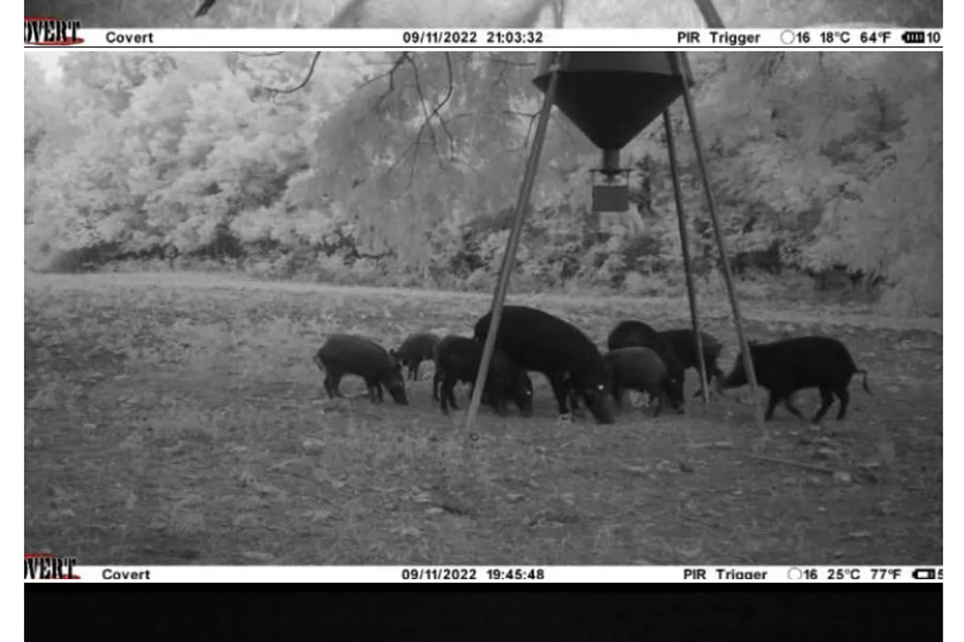 image three