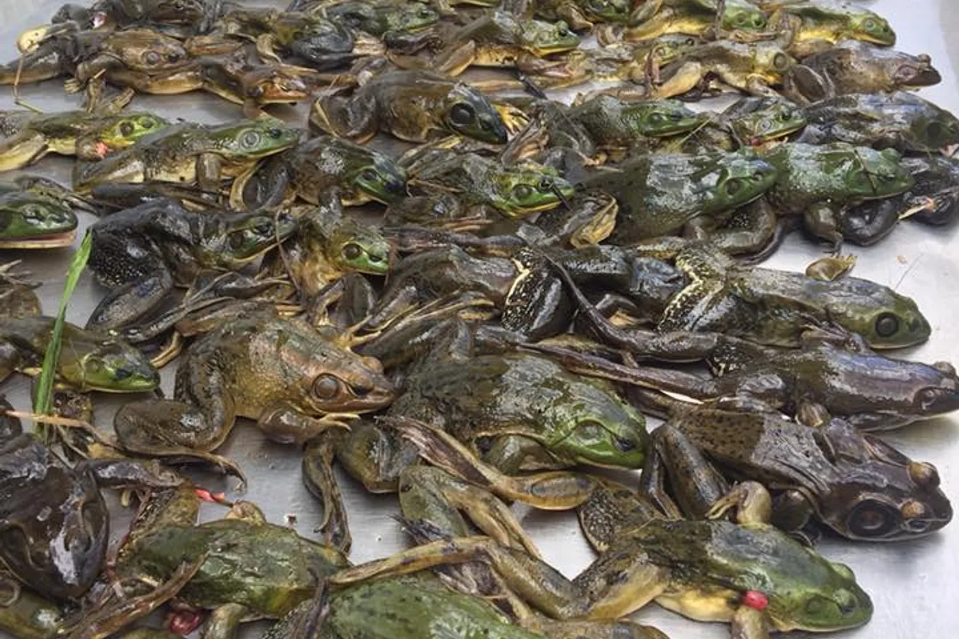 image three