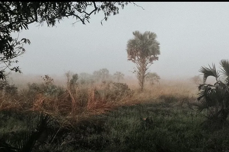 image 14