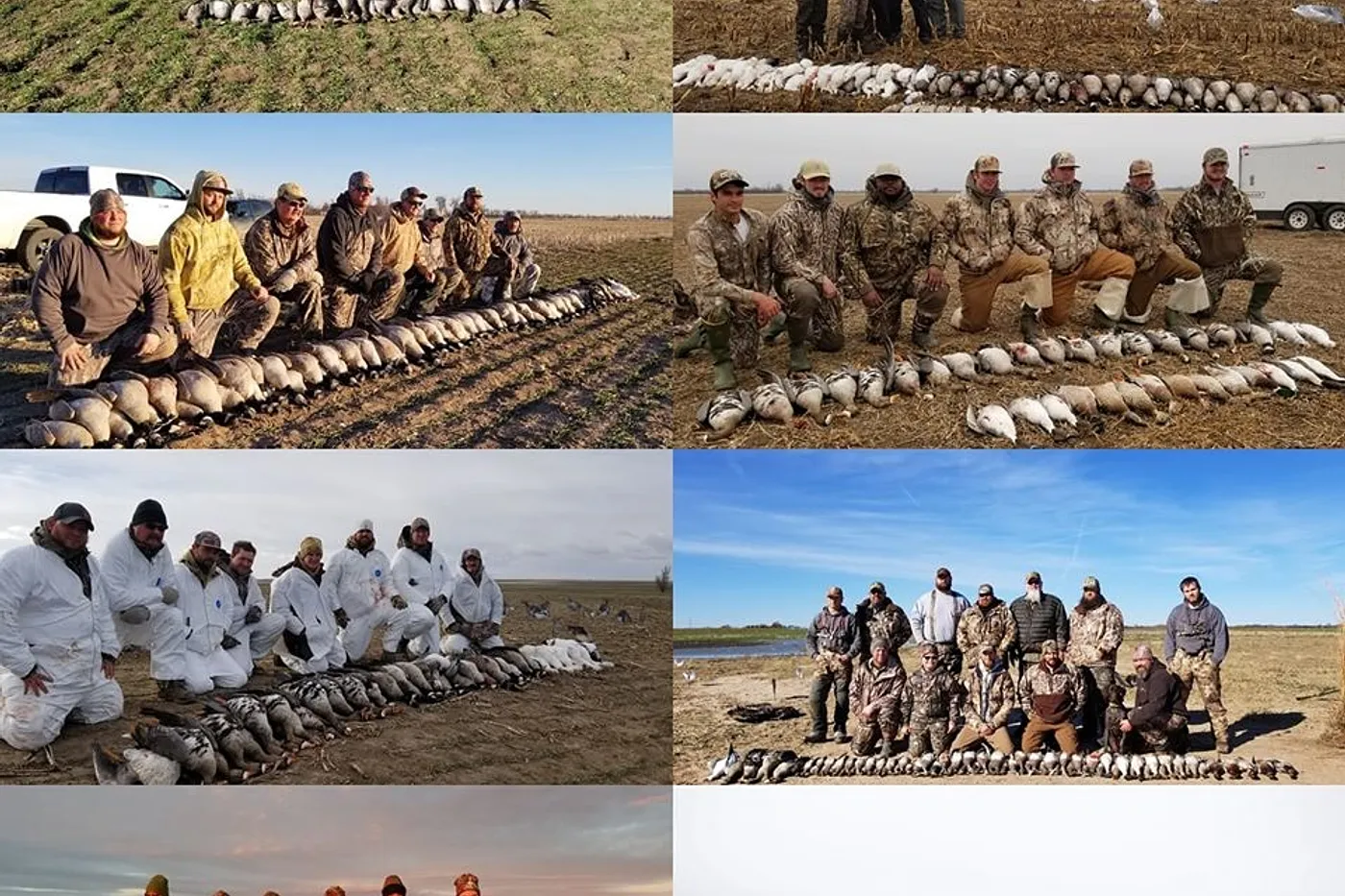 image four