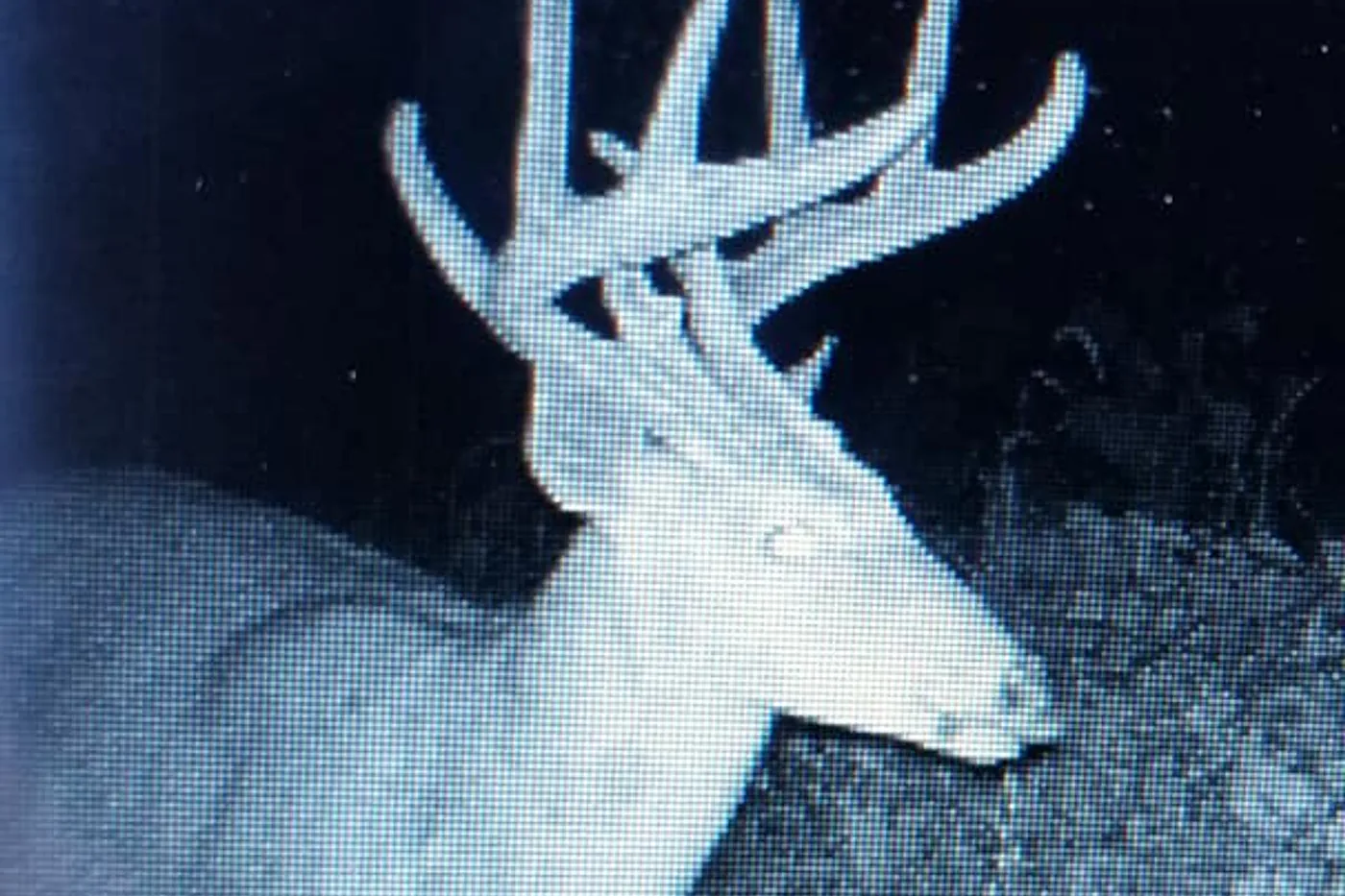 image four