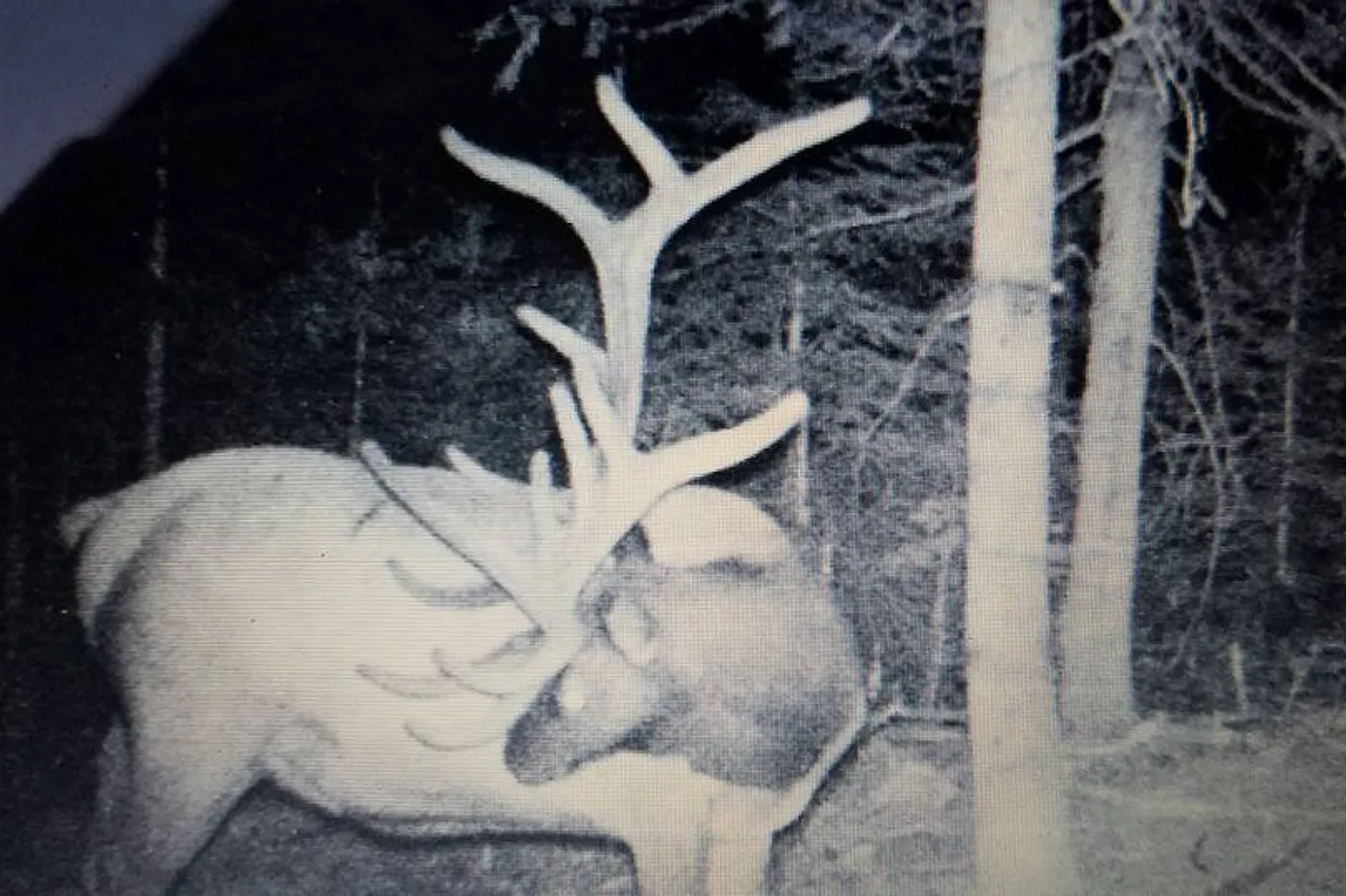 image two