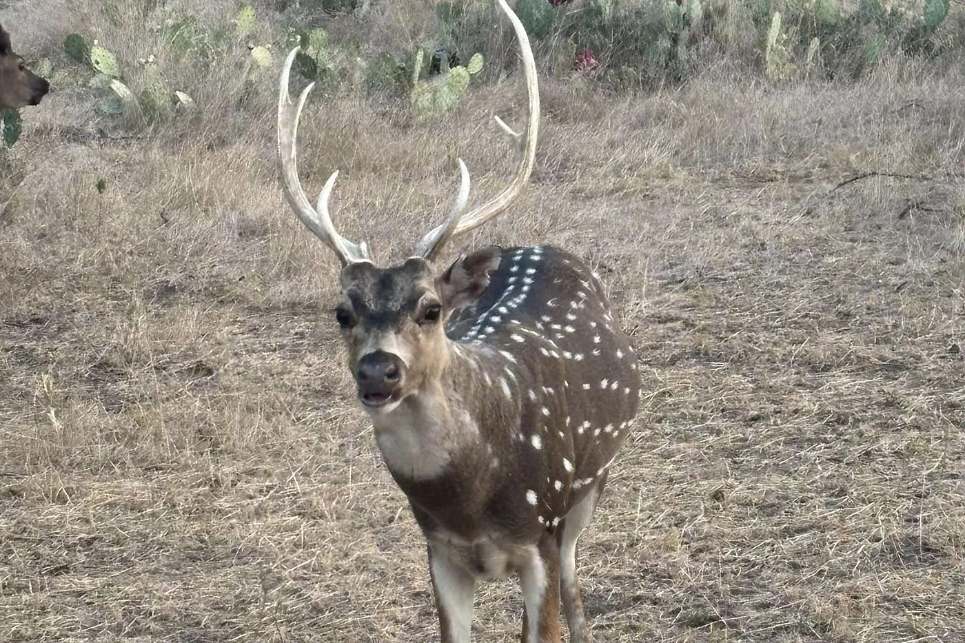 image two
