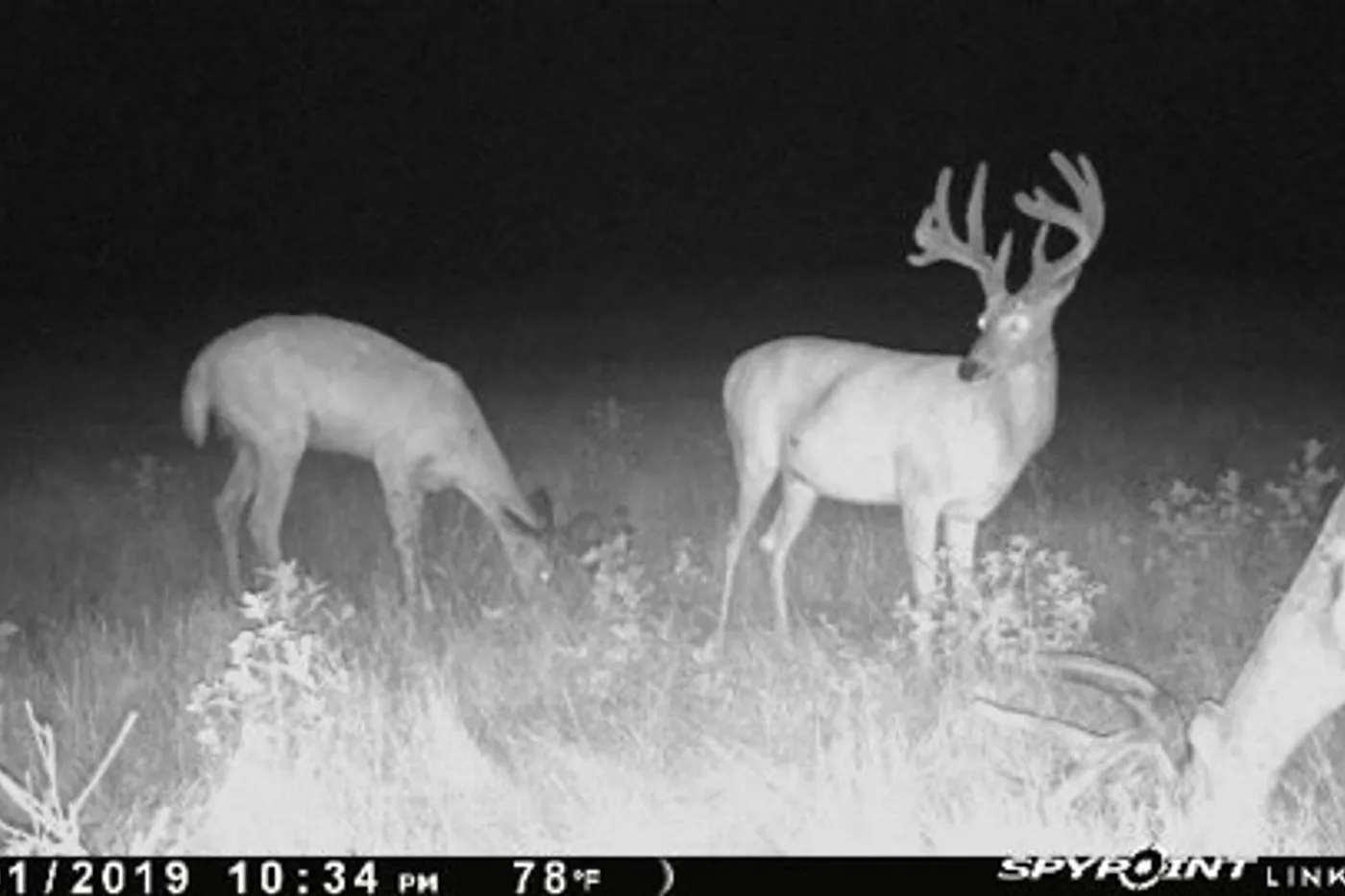 image three