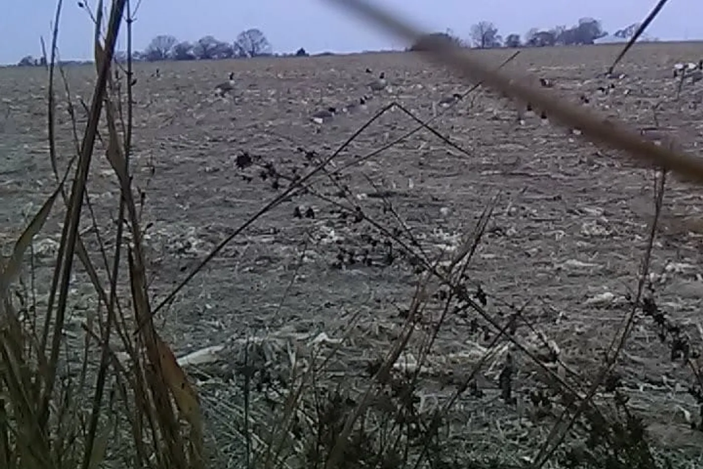 image four