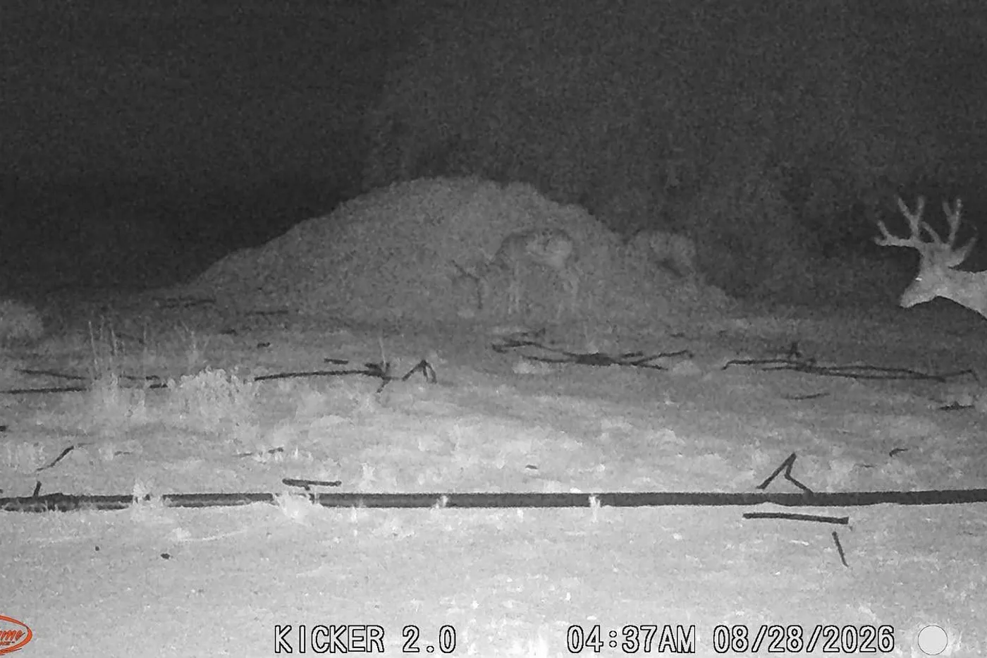 image three