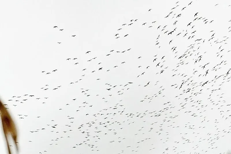 image 14