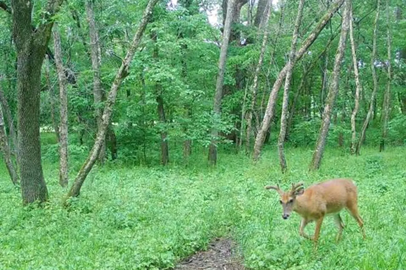 image four