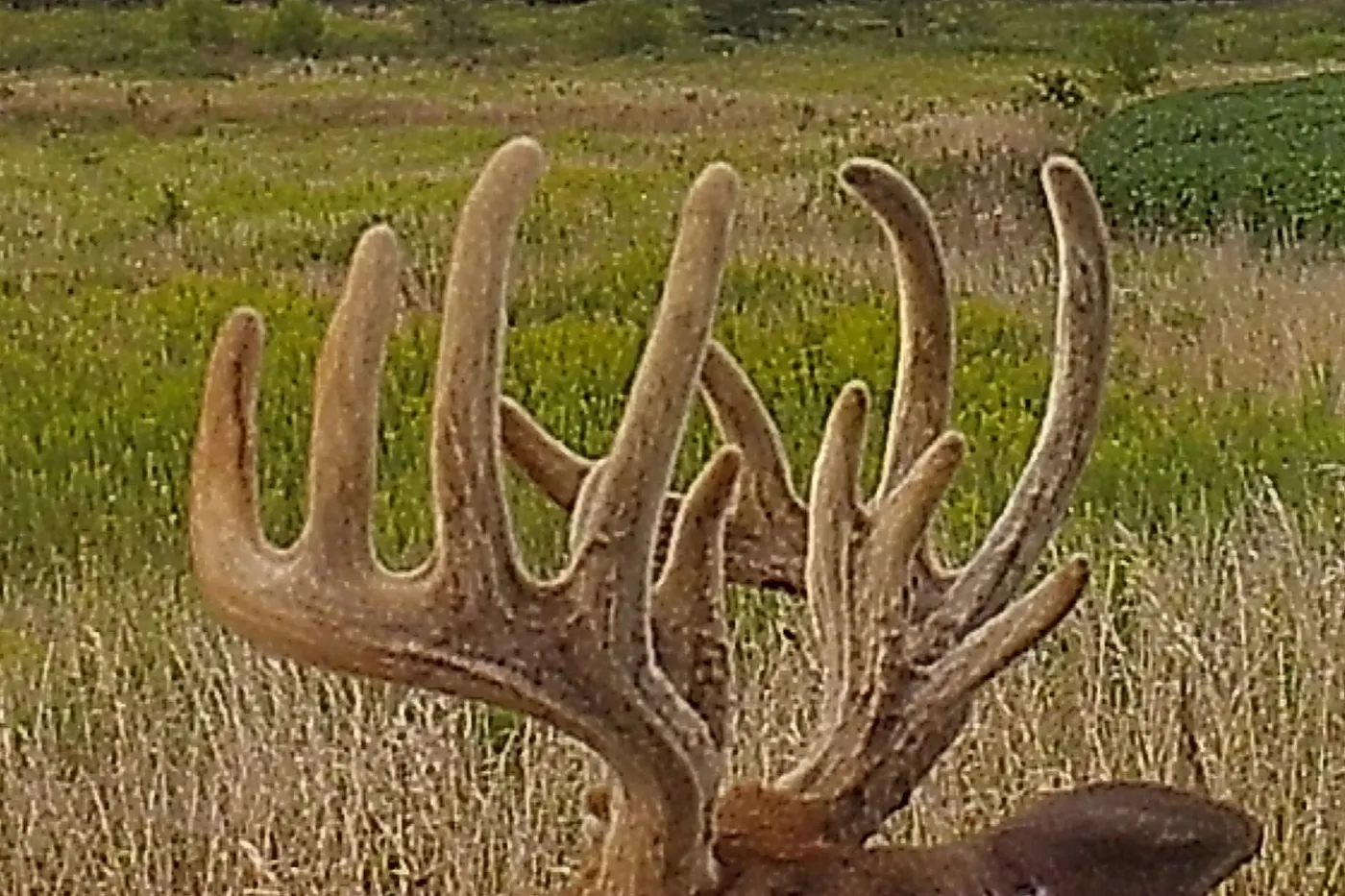 image two